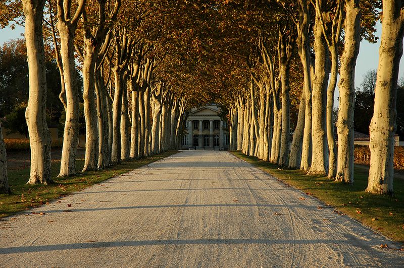 GFV Margaux : Avec élégance et volupté